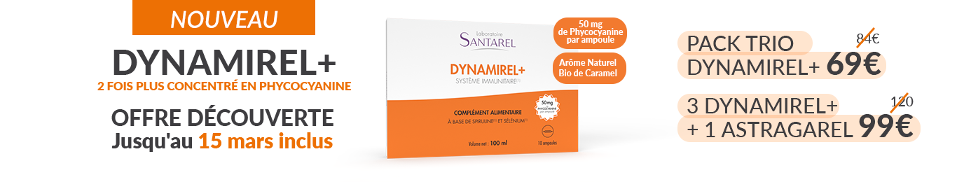 Offre Découverte Dynamirel février 2025